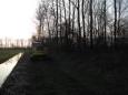 IMG 2631 (Large)