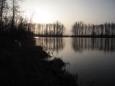IMG 2634 (Large)