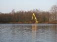 IMG 2637 (Large)