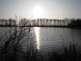 IMG 2650 (Large)