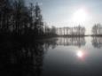 IMG 2716 (Large)