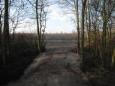 IMG 2722 (Large)