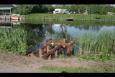 IMG 8345 (Large)