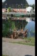 IMG 8359 (Large)