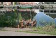 IMG 8360 (Large)
