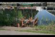 IMG 8361 (Large)