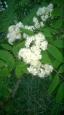 Foto550-8CZODYI7