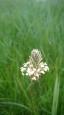 Foto550-WK6GGFQV