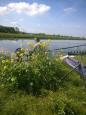 Foto650-LHUZY66F